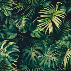 Jungle 135